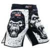 MMA Shorts 2